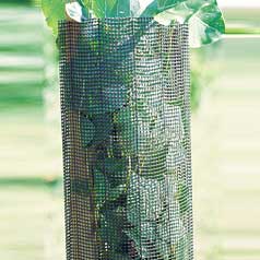 Plastic Mesh Tree guards - h120cm d14cm